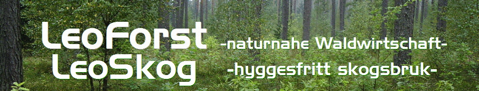 Naturnahe Forstwirtschaft Forstliche Dienstleistungen Waldbewirtschaftung